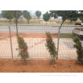 Hot sale Pvc coated welded wire fencing for Singapore